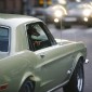 Dog in a car in Umea Sweden